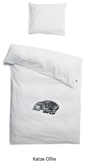 Katze Ollie